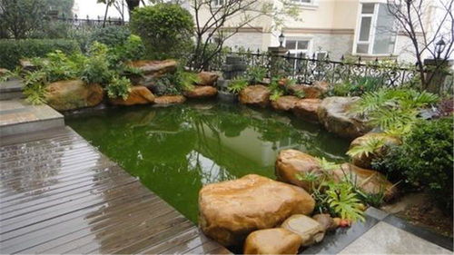 魚(yú)池假山設(shè)計(jì)圖,庭院魚(yú)池假山設(shè)計(jì),廣通園林